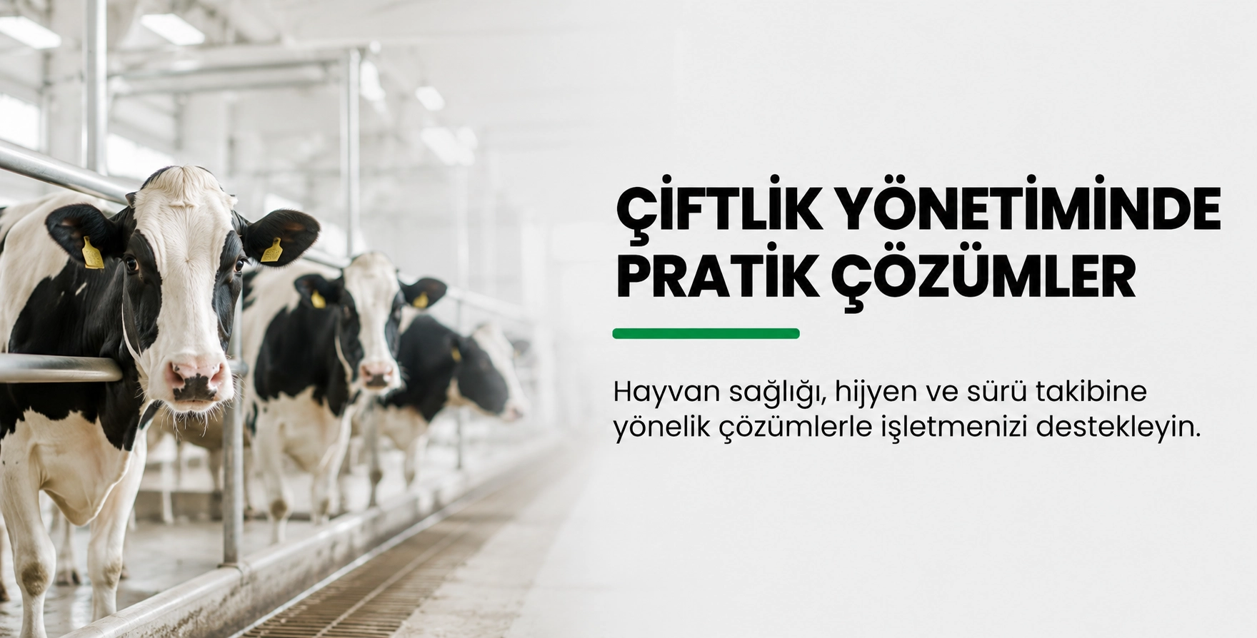 çiftlik grubu ürünleri