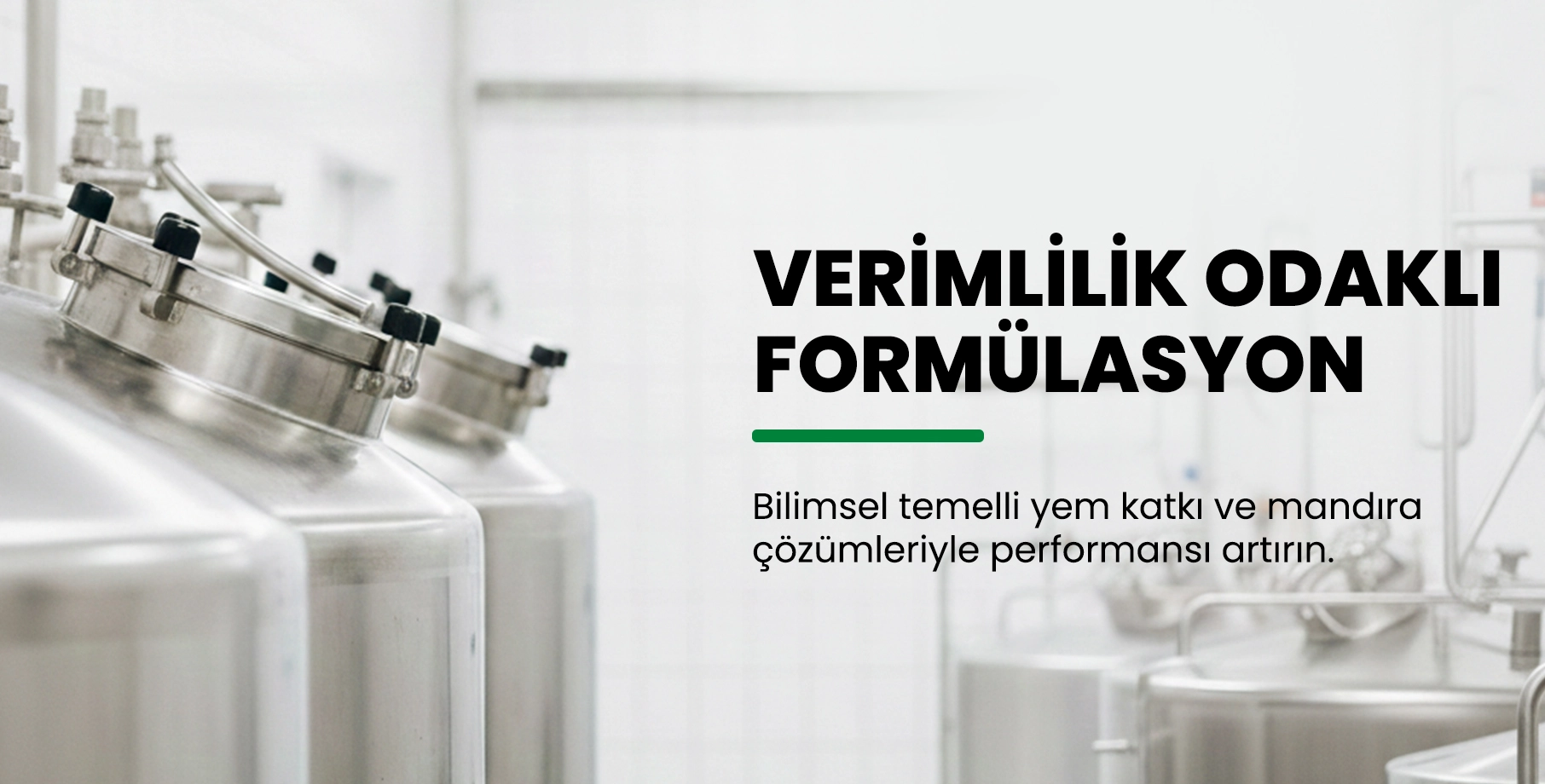 Mandıra Yem katkı ürünleri