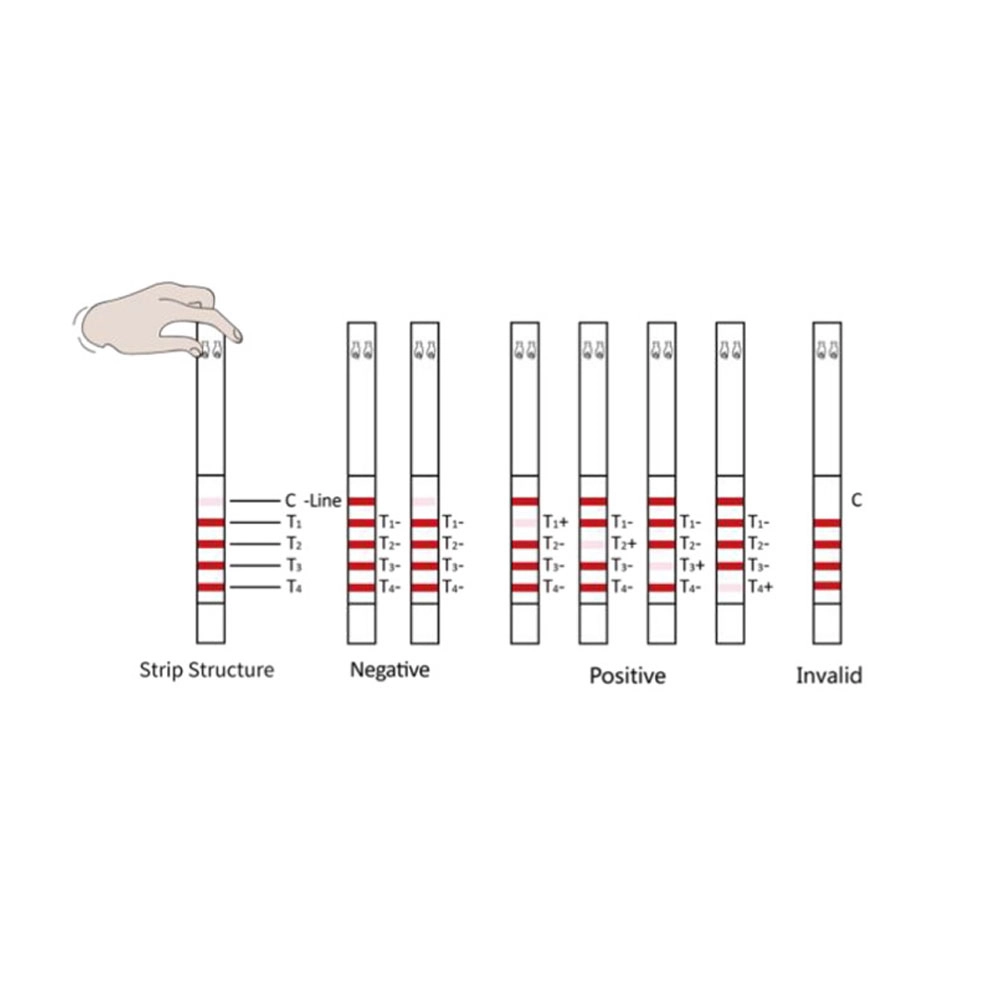 Antibiyotik Test Kiti Meizheng BTCC Combo