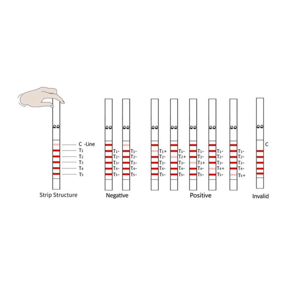 Antibiyotik Test Kiti Meizheng BTCC&F