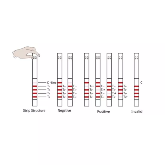faserix Antibiyotik Test Kiti Meizheng BTCC Combo
