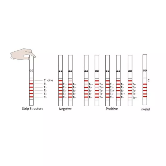 faserix Antibiyotik Test Kiti Meizheng BTCC&F