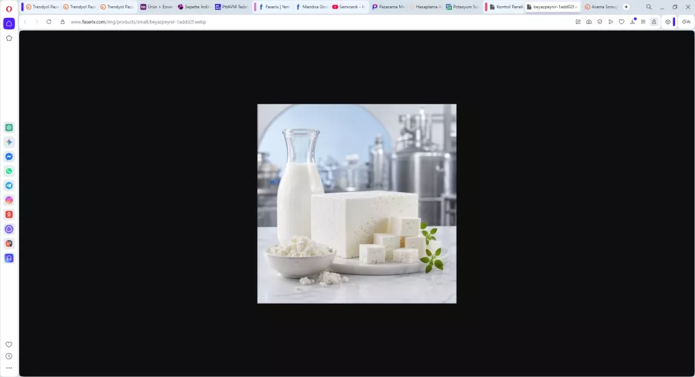 Foodcom Beyaz Peynir Kültürü MA