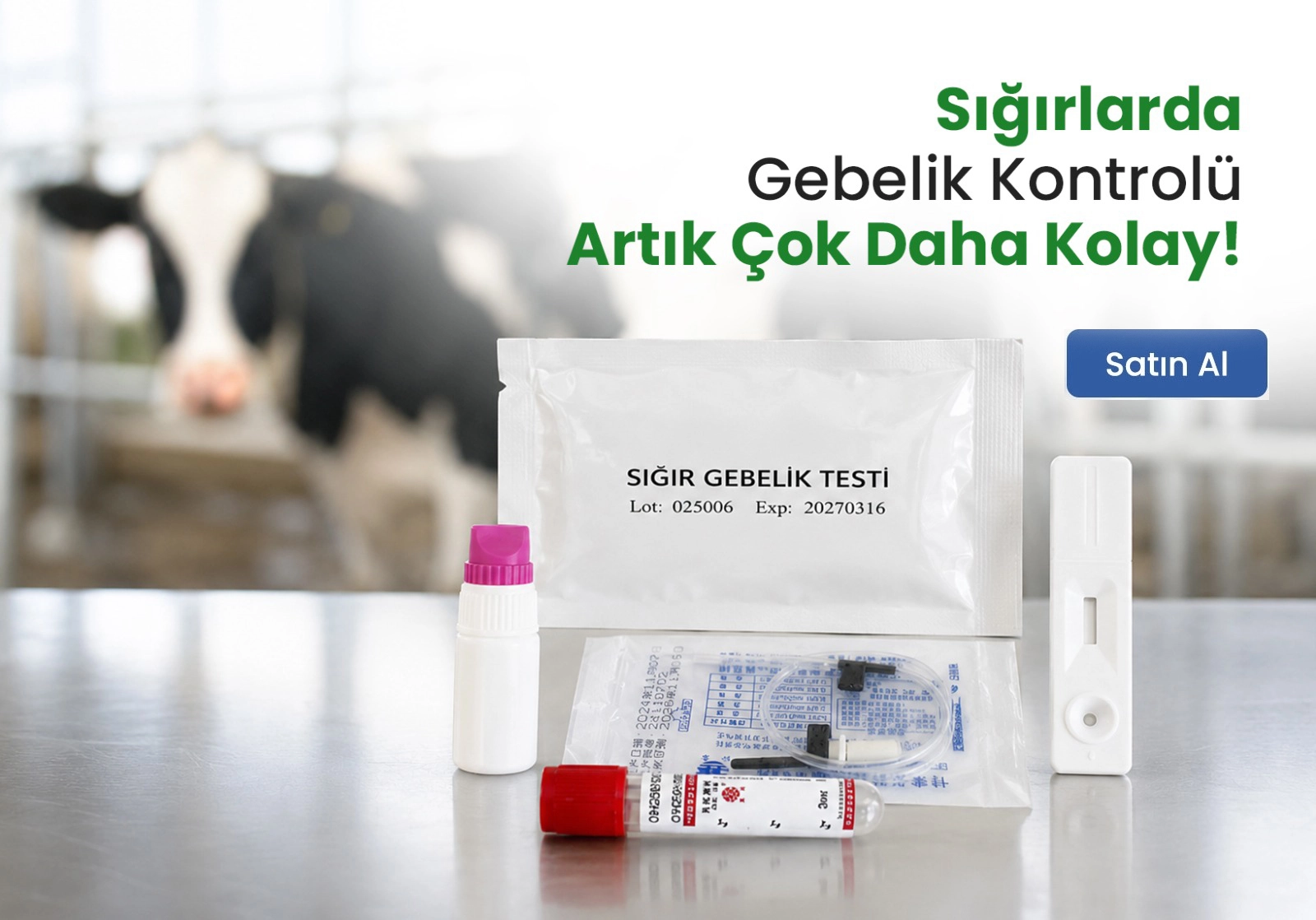 sığır gebelik testi